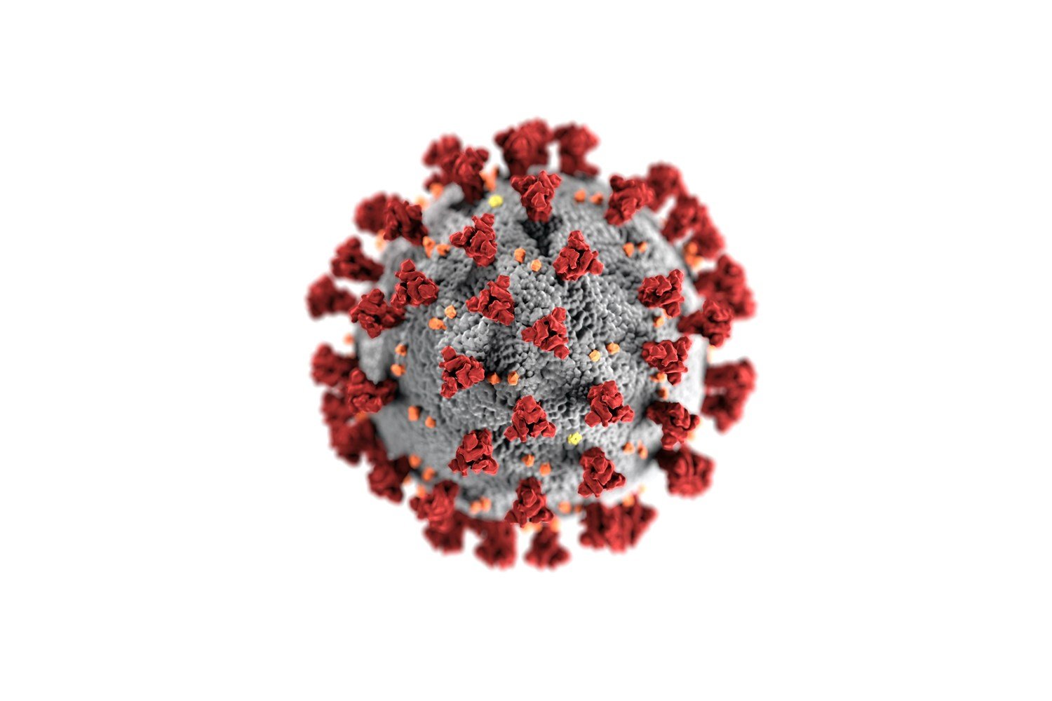 coronavirus